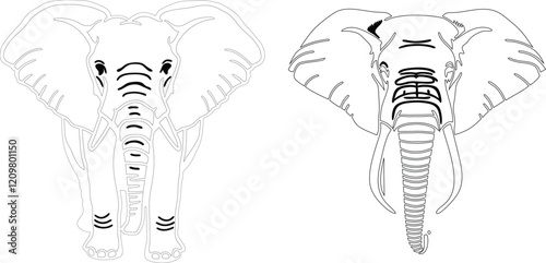 Elephant bundle line art and illustrator eps photo