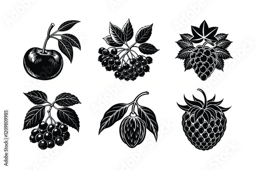 Set of Unique Maqui Berry, Aronia Berry, Brazilian Grape, Acerola Cherry, Dragonberry, and Goji Berry Silhouette Vector Art