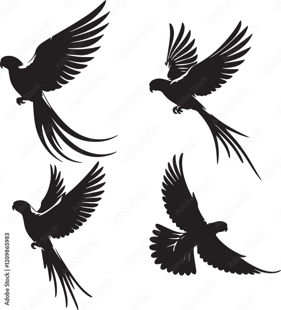 Obraz premium set of indian ringneck flying poses,ing bird poses, bird flight illustration, black and white indian ringneck, indian ringneck in flight
