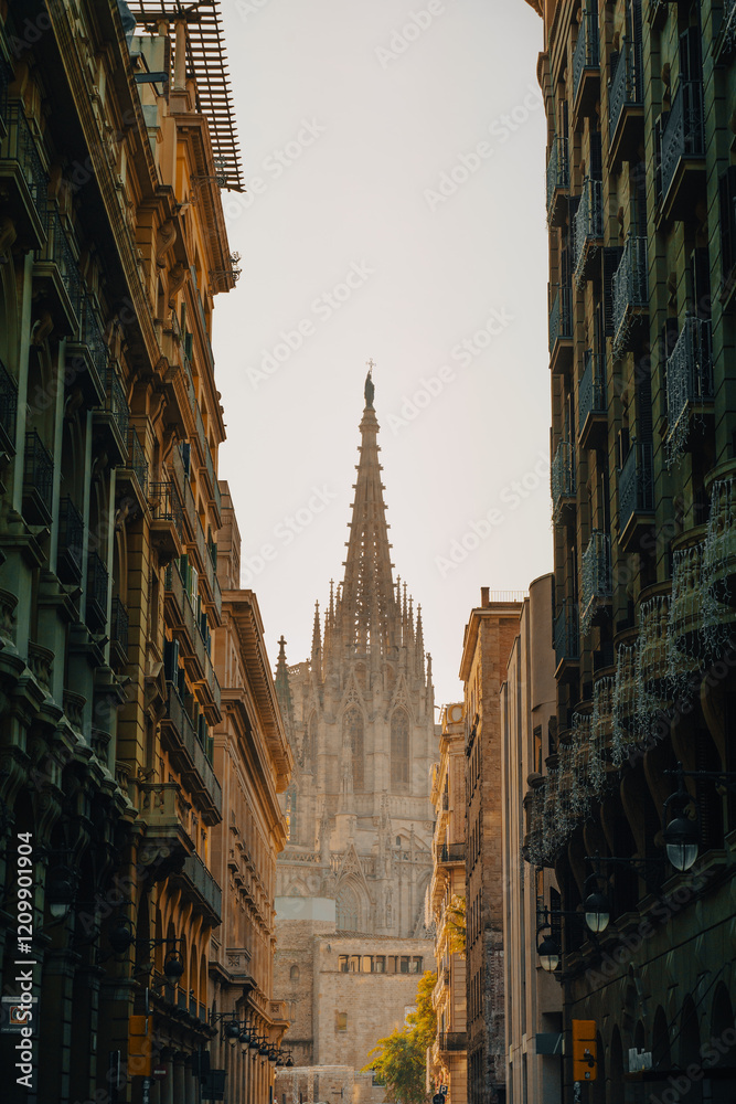 Fototapeta premium Barcelona - Catalonia