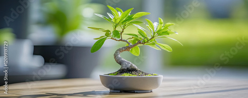 A small bonsai tree with vibrant green leaves is displayed in a round pot, set against a blurred, lush outdoor background.
