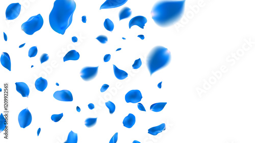  February 14 petals of a light blue rose fly far into the distance. isolated background.