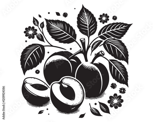 Apricot 11.eps