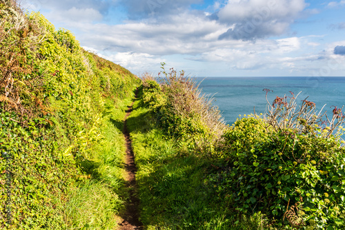 Lush Coastal Path near Polperro photo