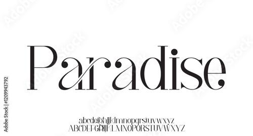 Lettering Minimalist Fashion. Elegant alphabet letters serif font and number. Typography fonts regular uppercase, lowercase.
