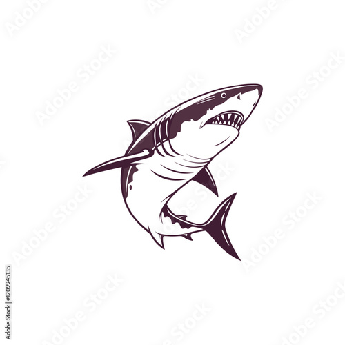 Great shark on white background