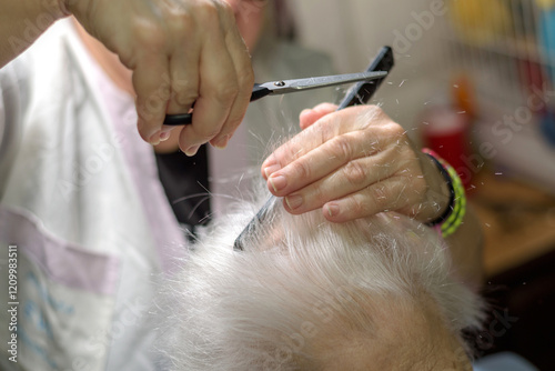 Primer plano de una peluquera cortando el pelo a una persona mayor.  La escena es íntima y se centra en el detalle del corte de pelo.