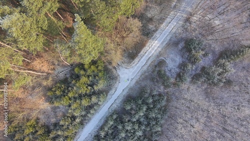 Obraz na płótnie Wald im Winter w salonie