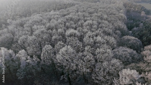 Obraz na płótnie Wald Winter Vogelperspektive w salonie