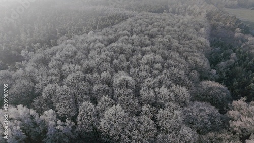 Obraz na płótnie Wald Winter Vogelperspektive w salonie