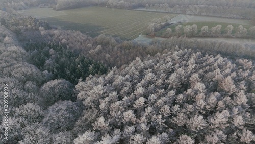 Wald Winter Vogelperspektive