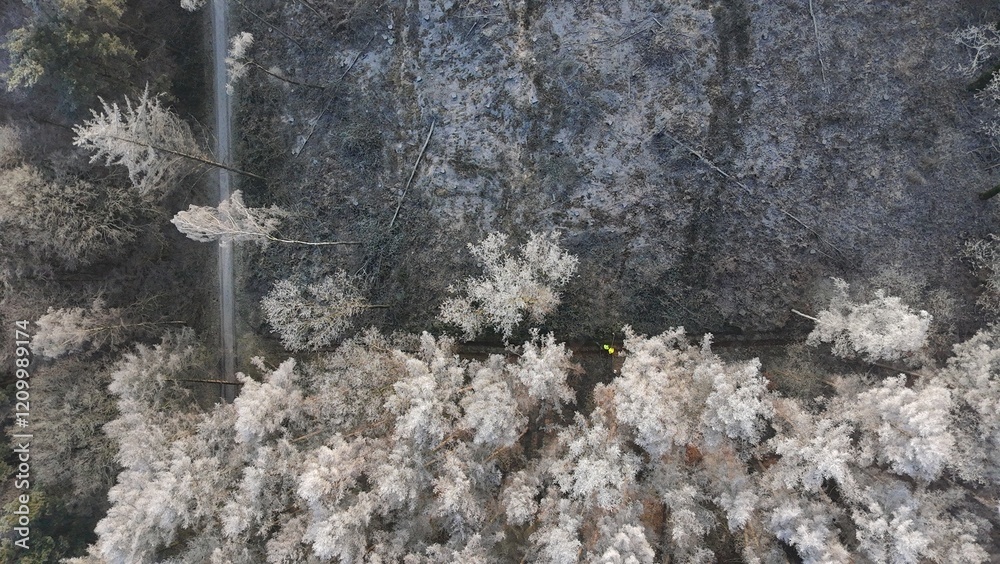Wald Winter Vogelperspektive