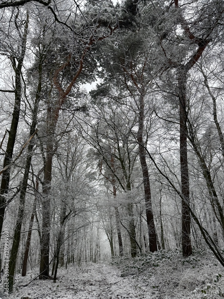 Wald mit Kunstschnee