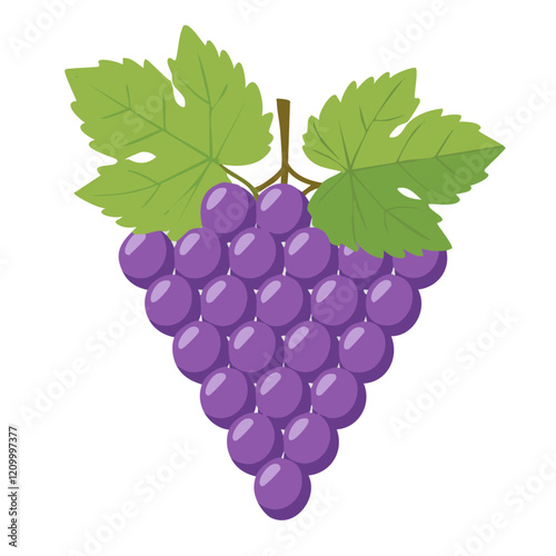 Grapes on a branch with leaves vector illustration. Image of berries on a branch in cartoon style for packaging and design.