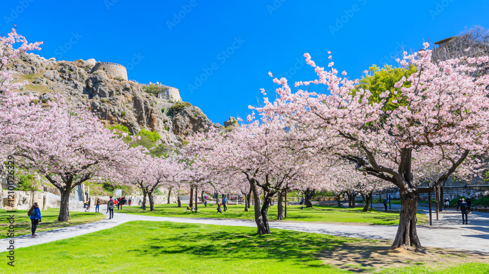 landscape, spring season beautiful landscape, spring season beautiful
