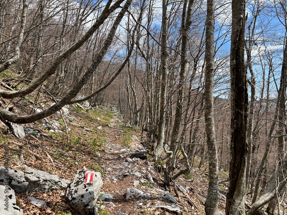 Premuzic hiking trail or Premuzic Trail - Velebit Nature Park, Croatia or Premuzic-Wanderweg or Premuzic's Trail (Pješački planinarski put Premužićeva staza - Park prirode Velebit, Hrvatska) Premuzic hiking trail or Premuzic Trail - Velebit Nature Park, Croatia or Premuzic-Wanderweg or Premuzic's Trail (Pješački planinarski put Premužićeva staza - Park prirode Velebit, Hrvatska)