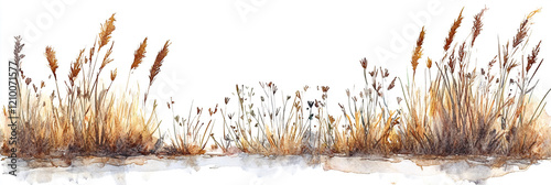 Monochrome grass or bulrush on dried grass texture