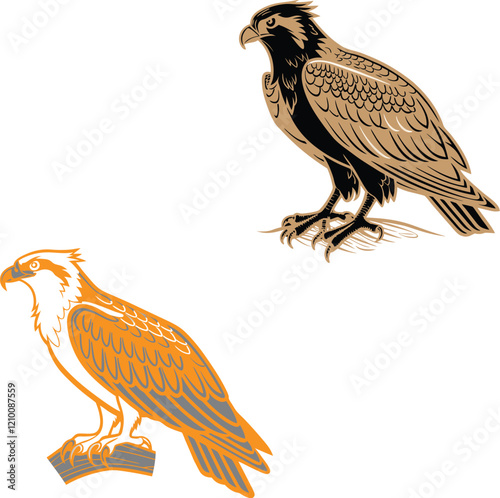 Osprey bird bundle design and illustrator eps