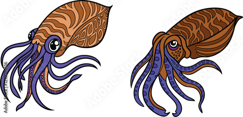Squid bundle design and illustrator eps