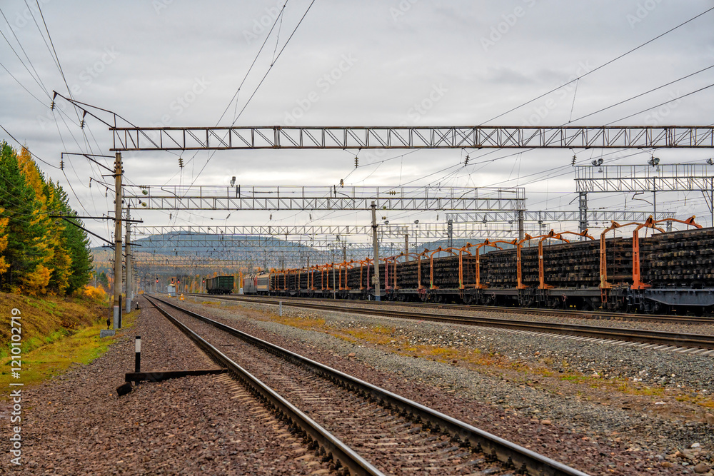 Train traffic. Railroad and trains with wagons. Transportation industry
Train traffic. Railroad and trains with wagons. Transportation industry