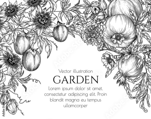 Vector banner of a branch with pomegranate and passion fruits and blossoms in engraving style. Grocery store brochure. Fresh farm fruits. Organic farming. Nutrition banner, healthy eating