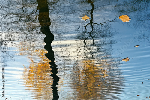 Reflection of the sky and trees on the surface of a calm lake photo