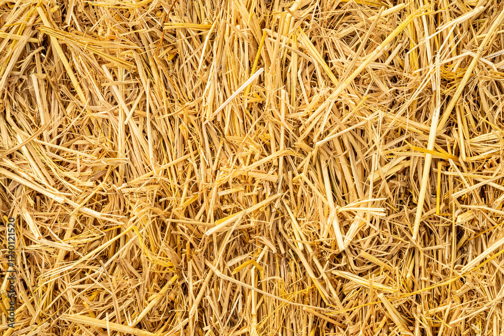 Close up image detail of straw bale Close up image detail of straw bale
