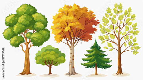 Trees isolated white background Oak maple linden birch