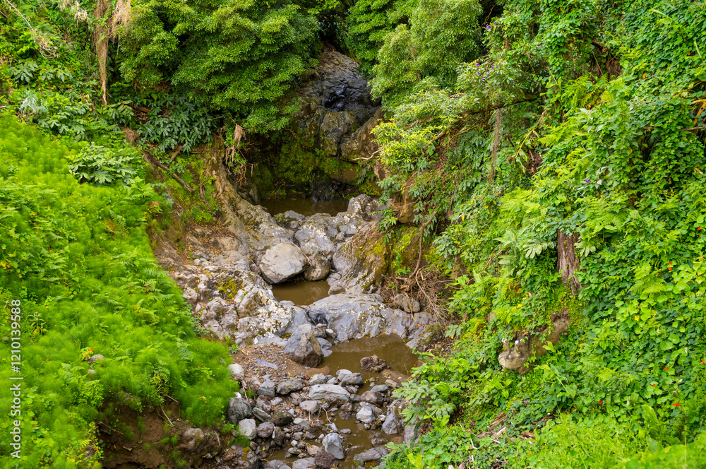 Natural Reserve in Sao Miguel, Azores, Portugal Island Natural Reserve in Sao Miguel, Azores, Portugal Island