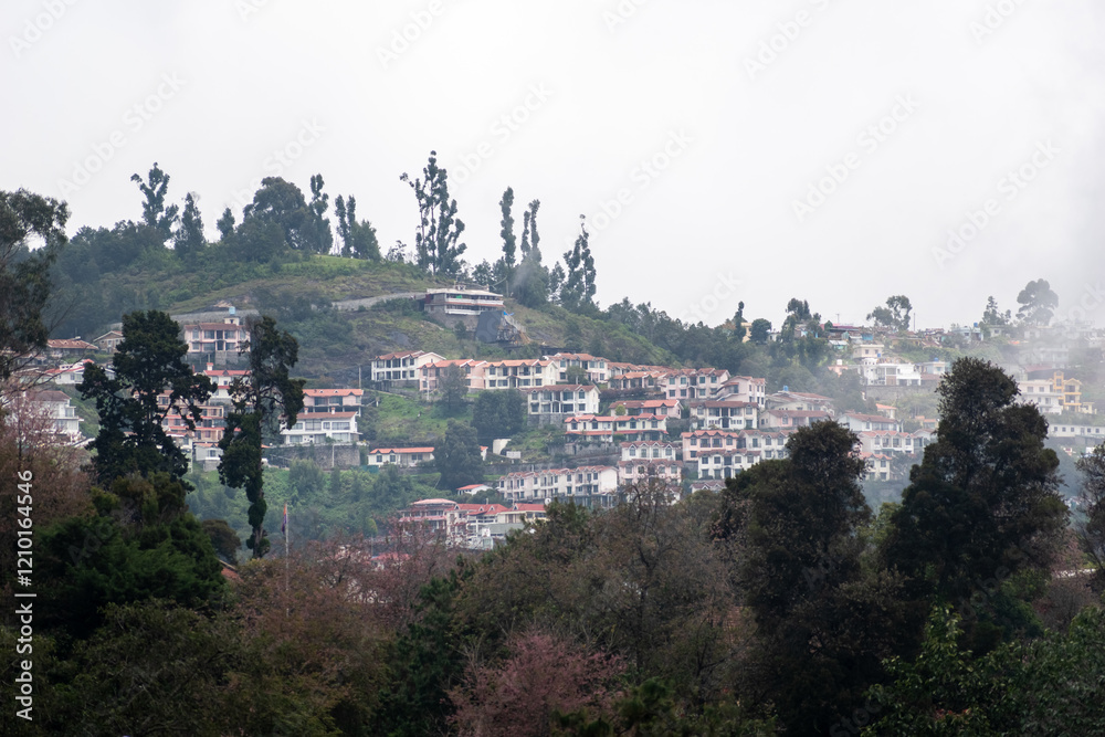 Obraz premium Views of hillside properties in Kodaikanal reveal a tranquil setting amidst lush trees and mist