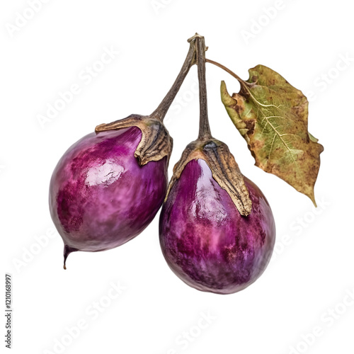 Fresh Purple Eggplants  Brinjal  Autumn Harvest  Vegetable  Food Photography  Healthy Eati photo