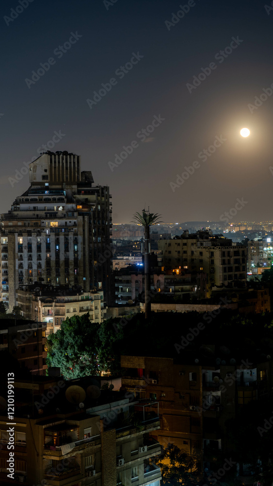 Fototapeta premium night view of the city cairo