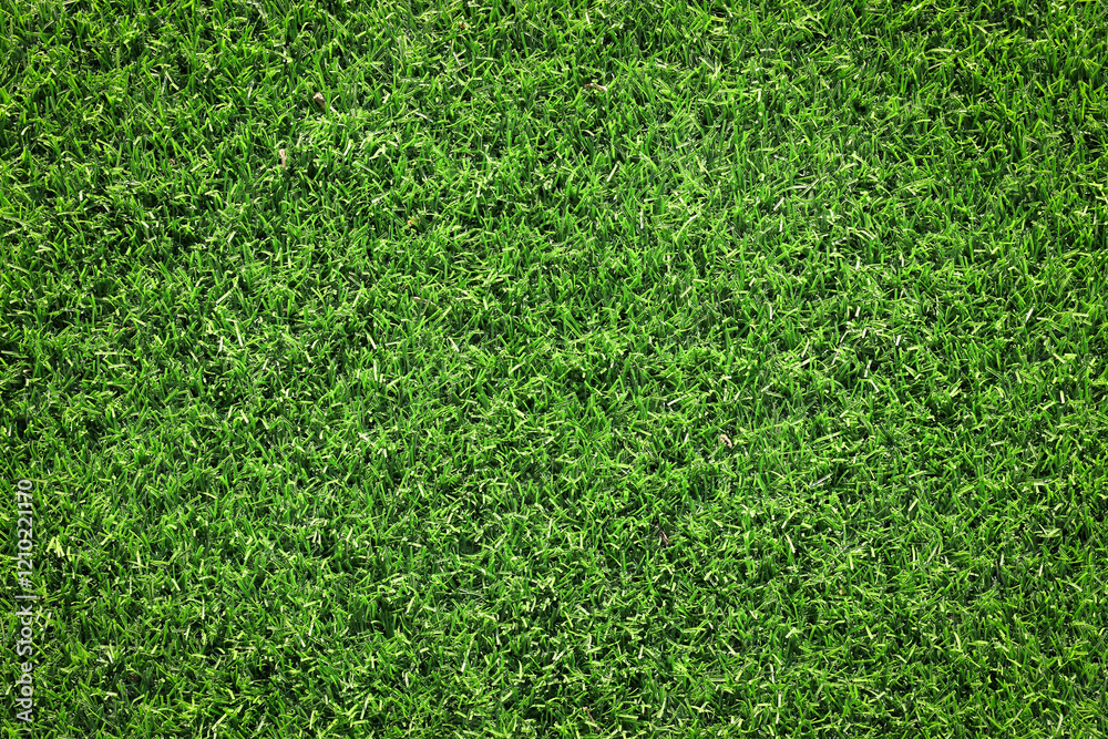 Fototapeta premium top view artificial green grass texture for background