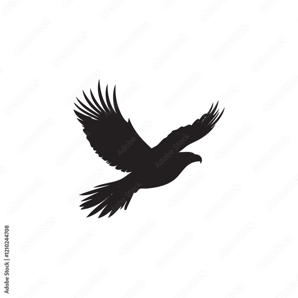 Obraz premium eagle in flight