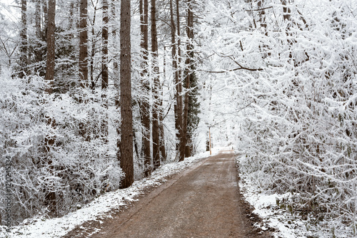 Obraz na płótnie Snowy road and cold winter landscape - winter snow Fruška Gora Serbia w salonie