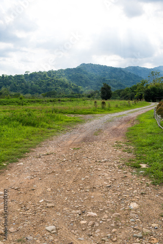 Dirt road in jungle to camping at Nakhon Nayok, Thailand photo