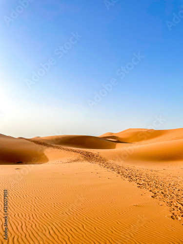 Summer Adventure in the Sahara Desert, in Morocco, Africa
