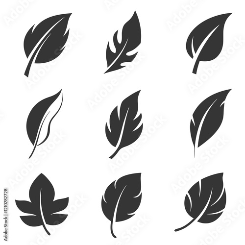 Nature Leaf Silhouette Bundle Vector. photo