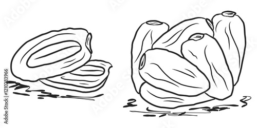 Hand drawn sketch art vector illustration of depicts gourmet dates, showcasing their unique shapes and textures, perfect for culinary decoration or health food promotions.