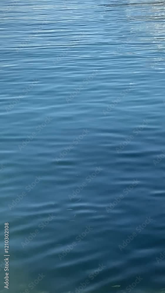 Vertical Video: Close-up of soft blue water ripples on the surface. Vertical Video: Close-up of soft blue water ripples on the surface.