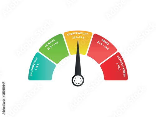 BMI Meter Body Mass Index Meter Info Graphic