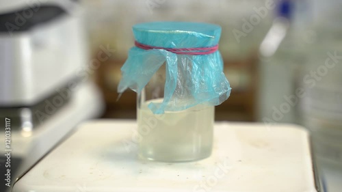 Detailed Microscopic Analysis of the Fermentation Process Taking Place in Laboratory Jar