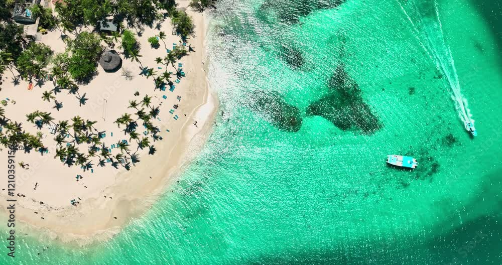Tropical island beach shore in Caribbean Sea with palm trees, white sand and turquoise water aerial nature landscape Dominican Republic