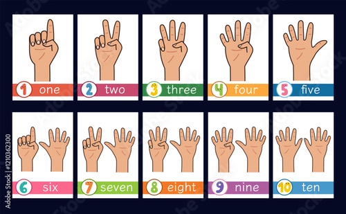 Learning numbers flashcards collection for kids. Finger counting flash cards set for preschool. Vector illustration