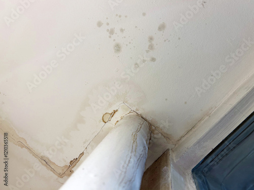 Water stains and mold spots are visible on a cracked ceiling corner near a window