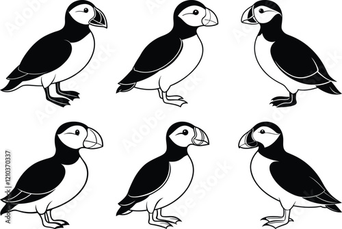 Atlantic Puffin set silhouette vector illustration, Atlantic Puffin line art vector, Atlantic Puffin vector design
