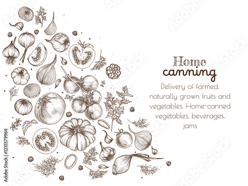 Vector illustration of canned tomatoes. Tomato, garlic, dill, onion, parsley in engraving style. Home preservation. Preparation of pickled tomatoes. Farm organic cultivation. Vegetable salad