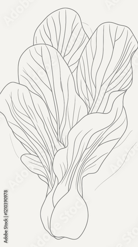 Minimalist Continuous Line Drawing of Bok Choy in Vector Style for Culinary Designs
