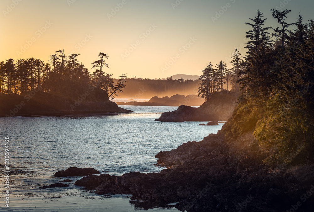Obraz premium Stunning view of Pacific Rim, rugged west coast of Vancouver Island near Ucluelet during an evening golden light with its cliffs with trees. British Columbia, Canada