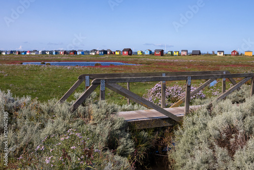 salt marsh with colorful beach huts at Vesterstrand, Ærøskøbing, Ærø, Denmark	 photo